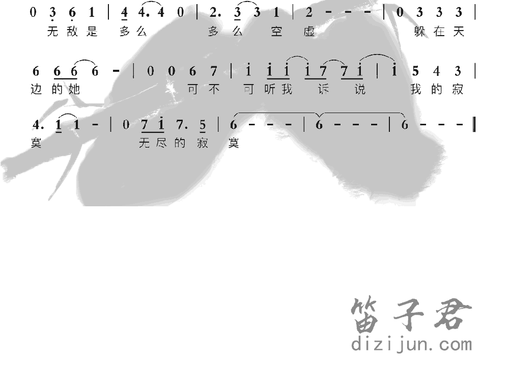 无敌笛子音乐2