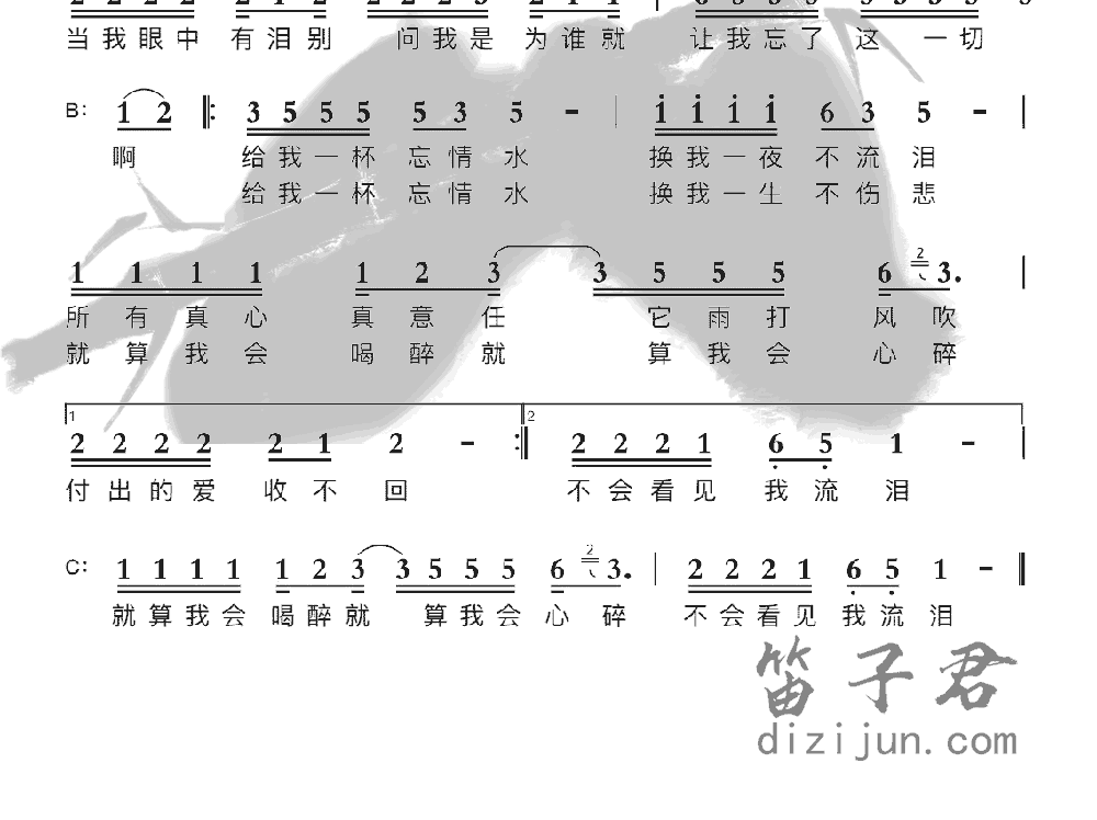 忘情水竹笛乐曲2