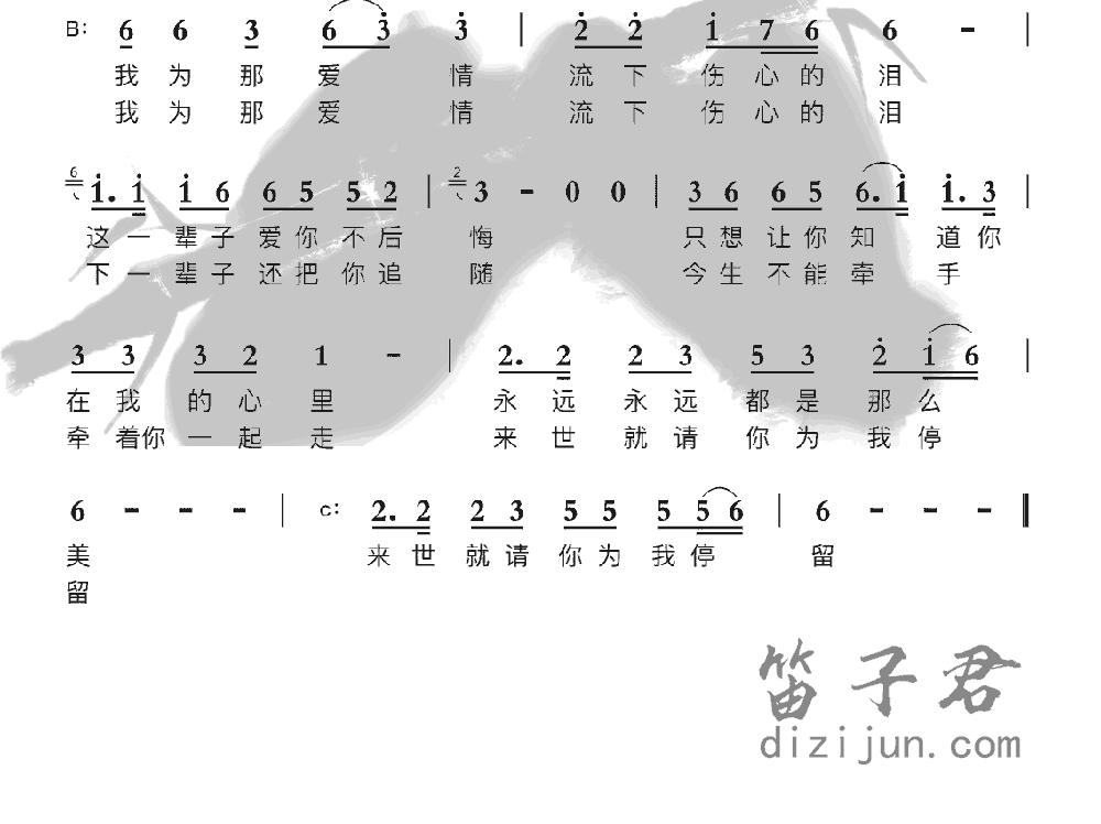 为爱留下伤心泪竹笛乐曲2