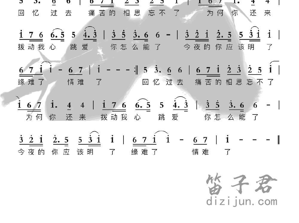 新不了情笛子音乐2