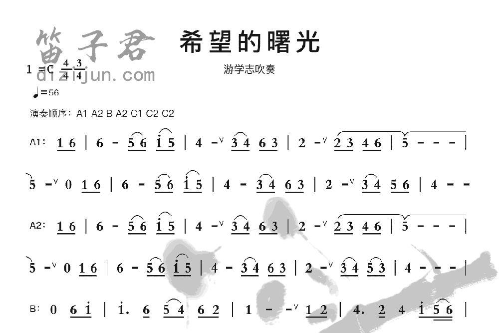 希望的曙光笛子音乐