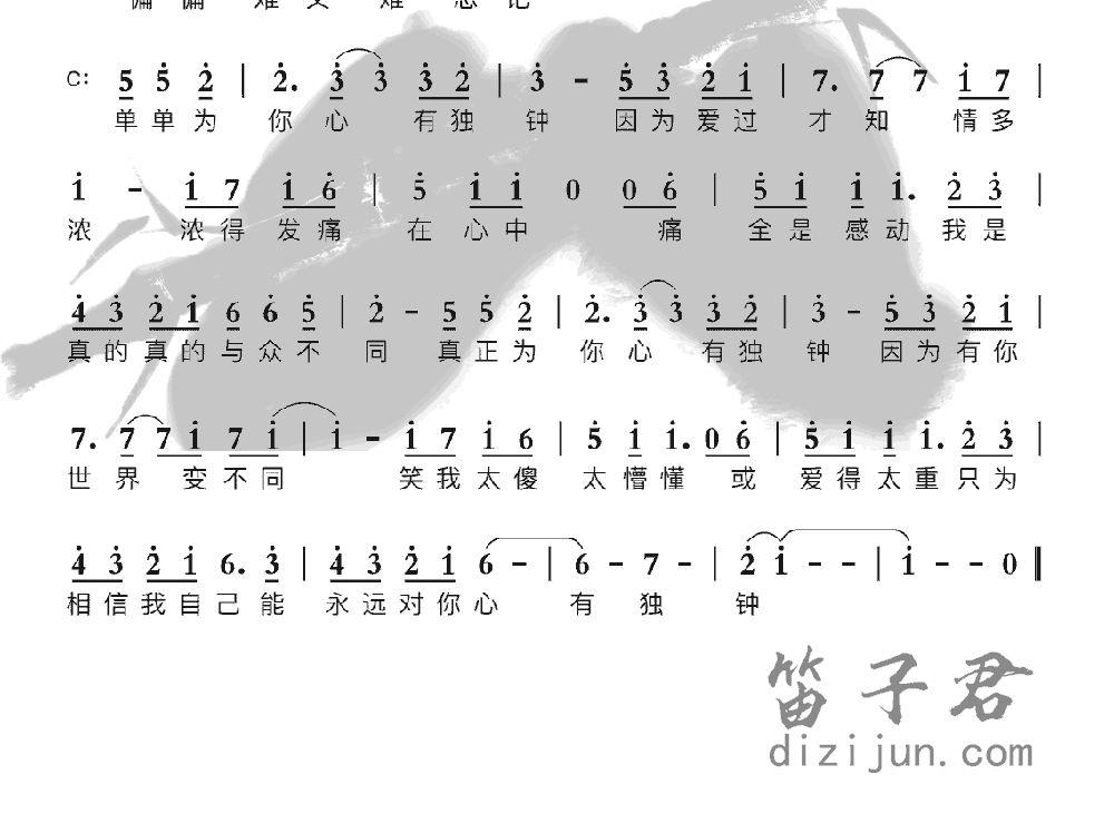 心有独钟竹笛乐曲2