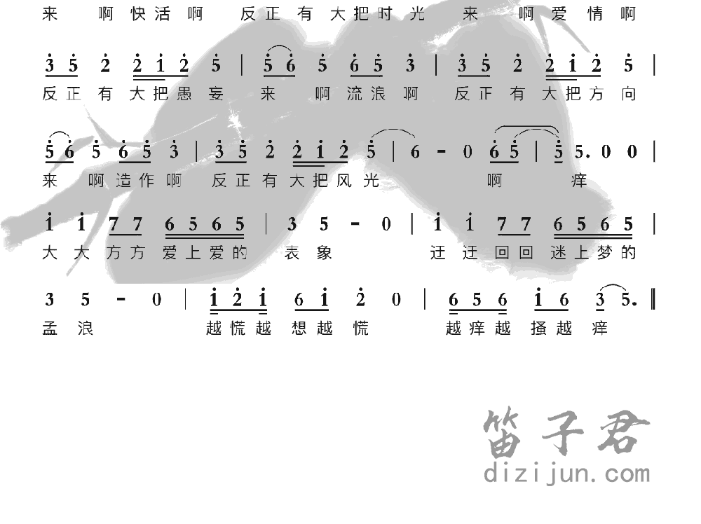 痒笛子音乐2