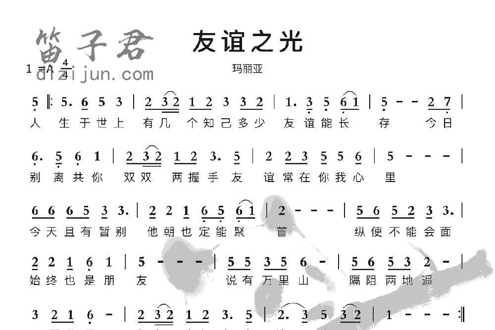 友谊之光笛子音乐