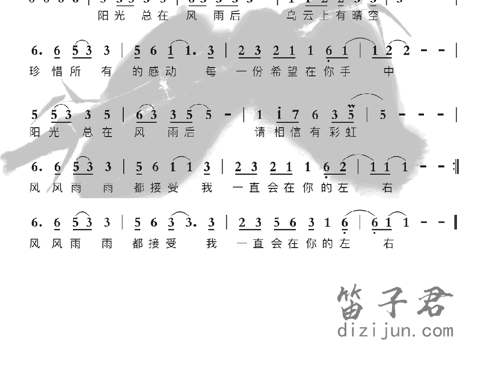 阳光总在风雨后竹笛乐曲2