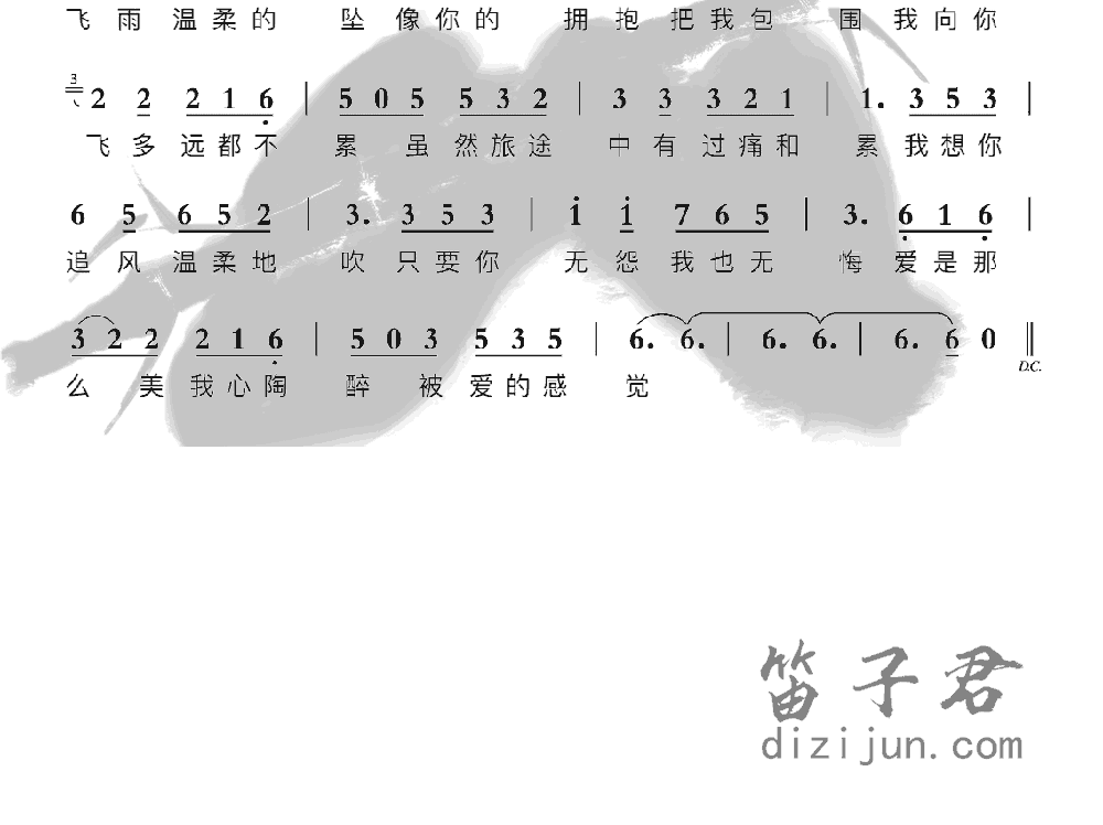 雨蝶竹笛乐曲2