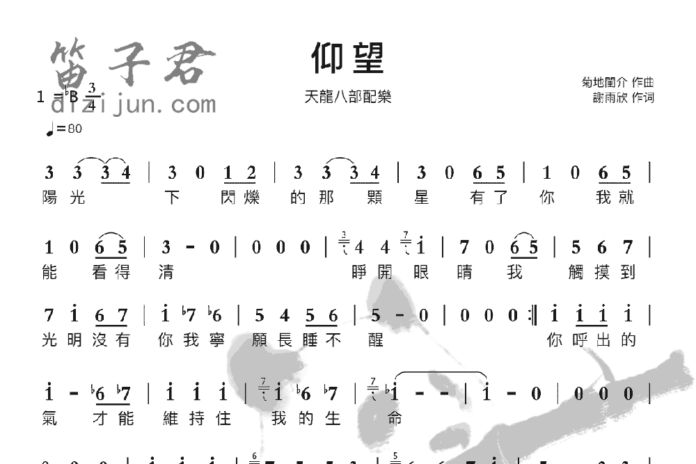 仰望笛子音乐