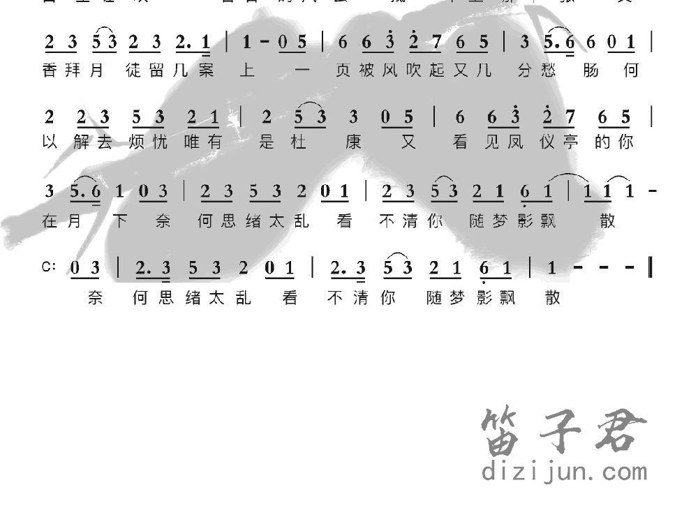 御龙品青梅竹笛乐曲2