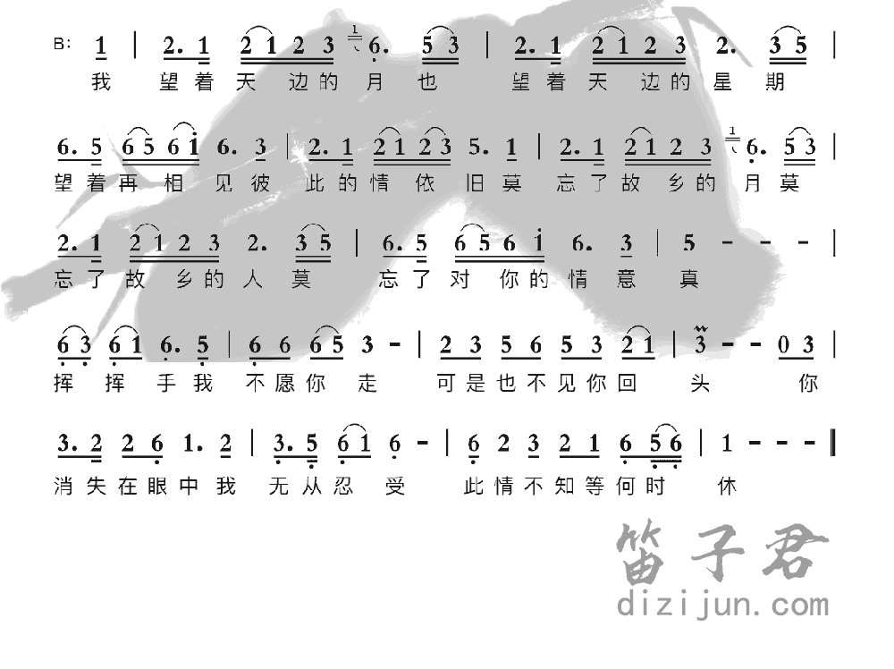 缘笛子音乐2