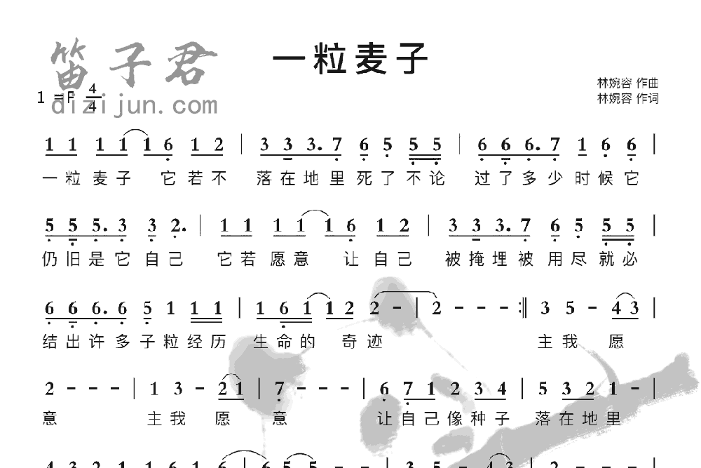 一粒麦子竹笛乐曲