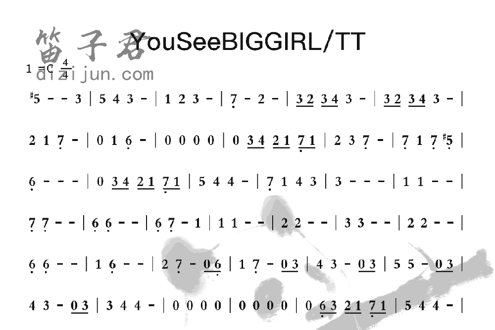 YouSeeBIGGIRL/TT笛子音乐