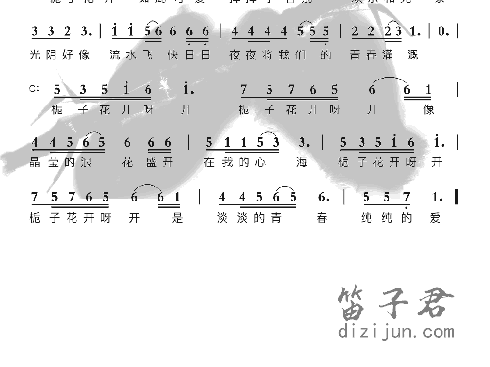 栀子花开笛子音乐2